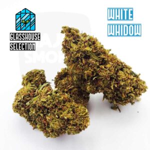 fleur de cbd, cbd, fleur cbd, fleurs cbd, fleurs de cbd, cbd fleur, cbd fleurs, cbd en vrac, fleur cbd pas cher, fleur de cbd en vrac, cbd pas cher, fleur cbd glasshouse, glasshouse cbd, cbd fleur en gros, acheter poches cbd, glass house cbd, Fleur de CBD white widow, white widow, fluer white widow, white widow fleur, cbd white widow white widow cbd