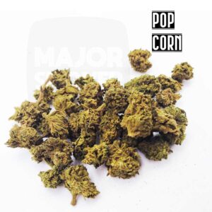 fleur de cbd, cbd, fleur cbd, fleurs cbd, fleurs de cbd, cbd fleur, cbd fleurs, cbd en vrac, fleur cbd pas cher, fleur de cbd en vrac, cbd pas cher, fleur cbd glasshouse, glasshouse cbd, cbd fleur en gros, acheter poches cbd, glass house cbd, cbd pop corn, pop corn cbd, fleur de cbd pop corn, fleur cbd pop corn, pop corn fleur de cbd, pop corn fleur cbd